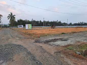  Plot For Resale in Anekal Bangalore 6374154