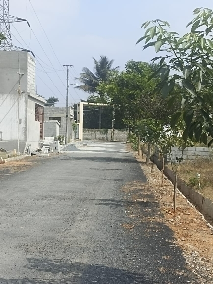 Plot For Resale in Bannerghatta Road Bangalore  6374581