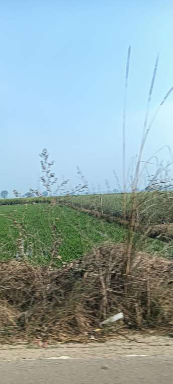 Commercial Land 55000 Sq.Yd. For Resale in Sector 45 Bahadurgarh  6375968