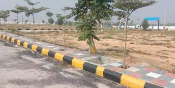  Plot For Resale in Asif Nagar Hyderabad 6376073