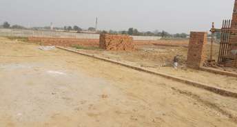  Plot For Resale in Sarfabad Village Noida 6376228