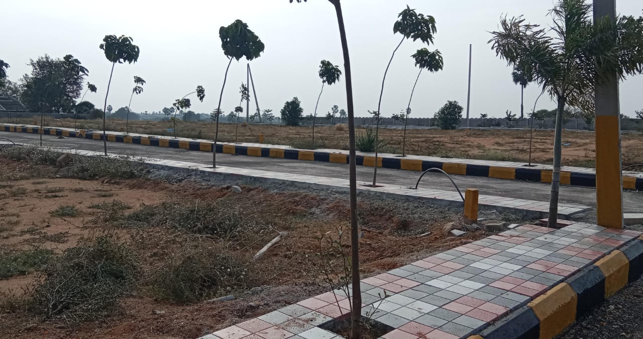  Plot For Resale in Jagadgiri Gutta Hyderabad 6376263