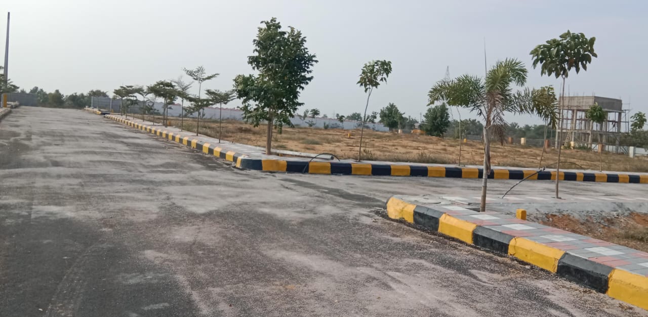  Plot For Resale in Suraram Colony Hyderabad 6376271