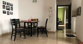 3.5 BHK Apartment For Resale in Amrapali Platinum Sector 119 Noida 6376525