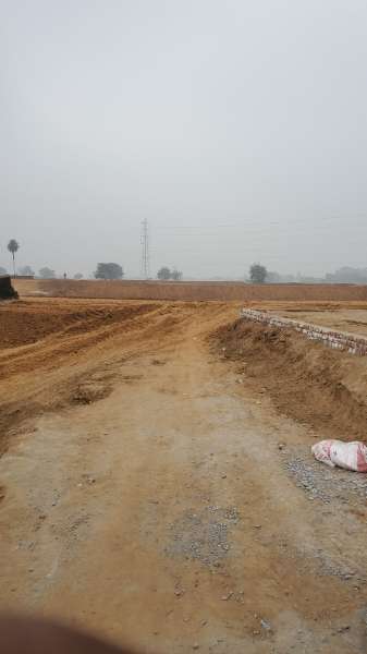  Plot For Resale in Sector 14 Palwal 6377666