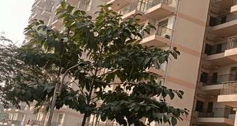 2 BHK Apartment For Resale in Pareena Laxmi Apartments Sector 103 Gurgaon 6378054