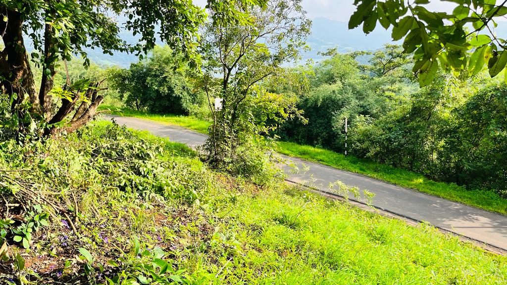 Resale 11000 Sq.Yd. Plot in Ambegaon Khurd Pune 6378794