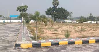  Plot For Resale in Aghapura Hyderabad 6379284