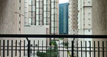 3 BHK Apartment For Rent in Kukatpally Hyderabad 6379573