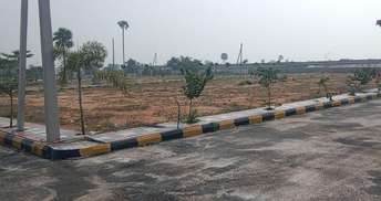  Plot For Resale in Wanaparthy Hyderabad 6379909