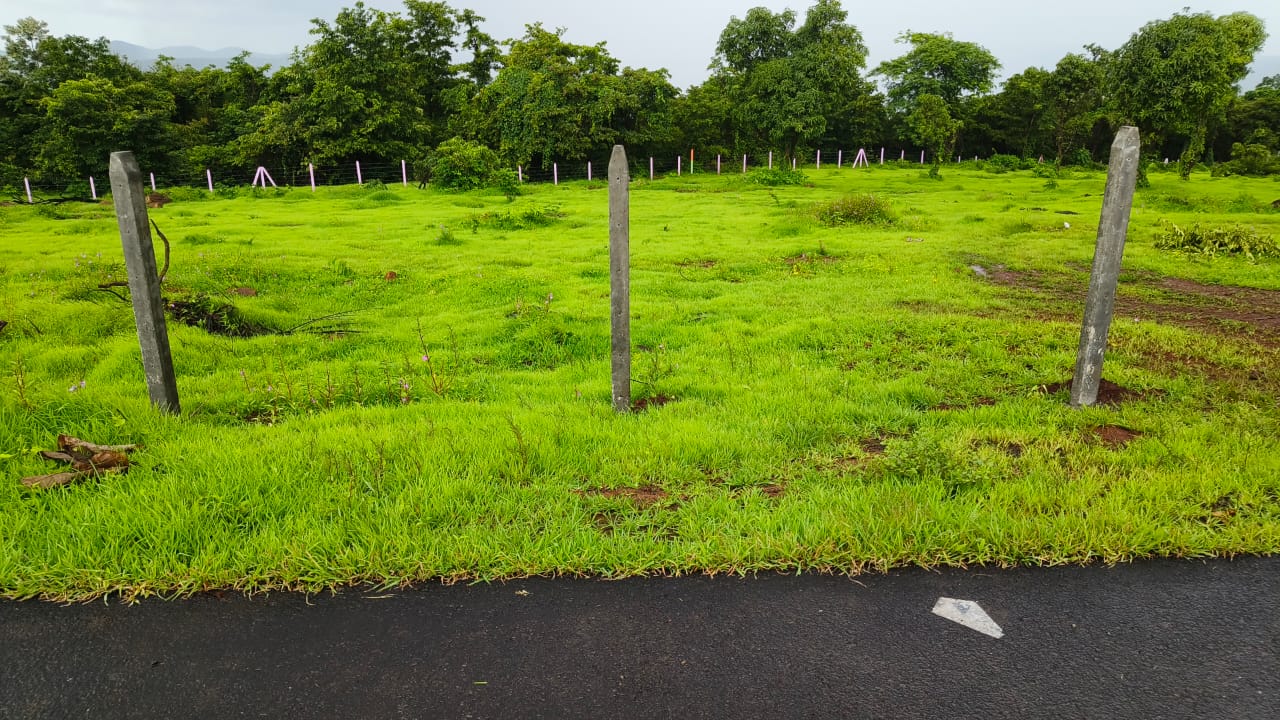 Plot For Resale in Mangaon Raigad  6381289