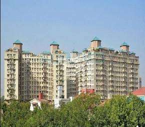 3 BHK Apartment For Rent in DLF Ridgewood Estate Dlf Phase iv Gurgaon 6381715