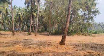  Plot For Resale in Guirdolim North Goa 6382284