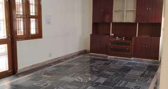 2 BHK Builder Floor For Rent in RWA Saket Block N Saket Delhi 6382688