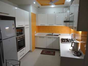 3 BHK Builder Floor For Rent in RWA Saket Block J Saket Delhi 6382756