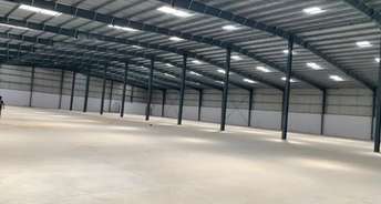 Commercial Warehouse 30000 Sq.Ft. For Rent In Kheda Ahmedabad 6382997