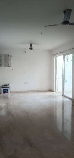 2 BHK Apartment For Rent in Marvel Fria Wagholi Pune 6384005