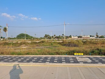 Plot For Resale in Sinhasa Indore  6384034