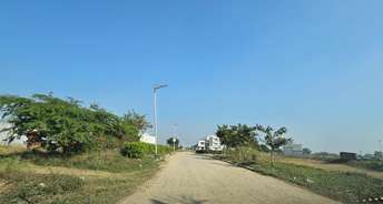  Plot For Resale in Mullanpur Chandigarh 6384101