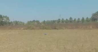 Commercial Land 87120 Sq.Ft. For Rent In Devanahalli Bangalore 6384214