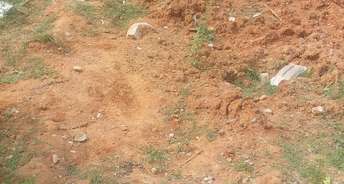 Commercial Land 2 Acre For Rent In Pipili Bhubaneswar 6384411