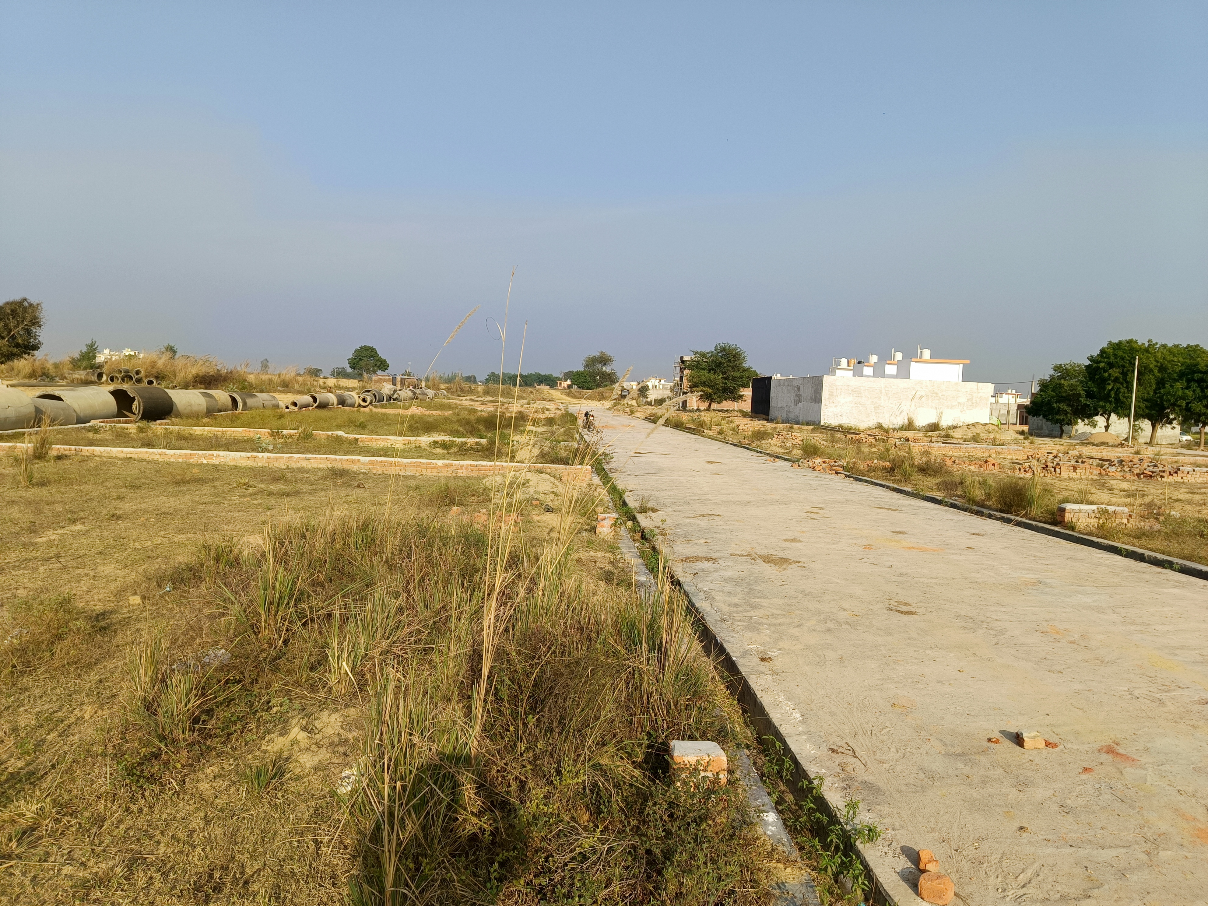 Plot For Resale in Iim Road Lucknow  6384709