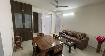 2 BHK Builder Floor For Rent in Sector 31 Gurgaon 6385682