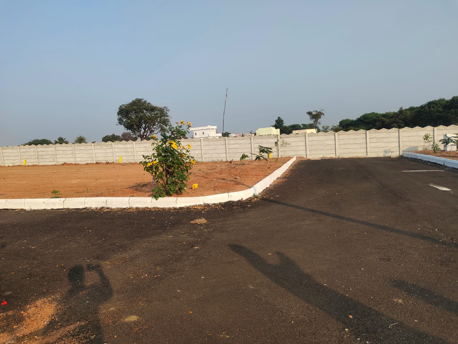 Plot For Resale in Bala Nagar Hyderabad  6386262