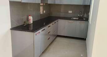 3 BHK Apartment For Rent in Salvos Shivam Enclave Independent House Noida Ext Gaur City Greater Noida 6386495