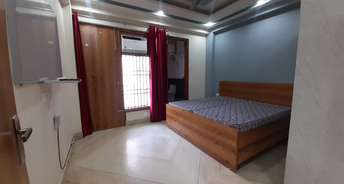 3 BHK Apartment For Rent in DLF The Carlton Estate Dlf Phase V Gurgaon 6386564