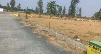  Plot For Resale in Bannerghatta Road Bangalore 6386658