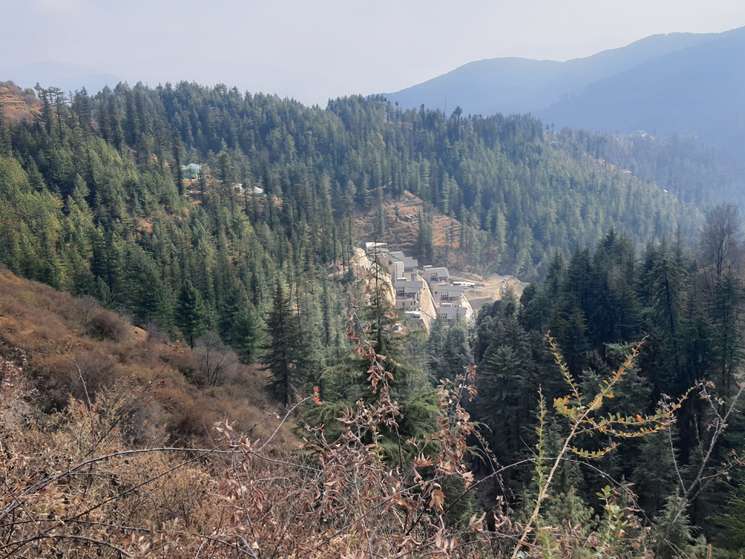 6000 Sq.Ft. Plot in Kufri Shimla