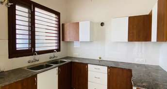 2 BHK Apartment For Rent in Sector 123 Mohali 6386853