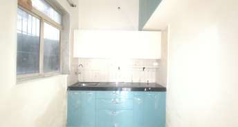 1 BHK Apartment For Rent in Seawoods Navi Mumbai 6387033