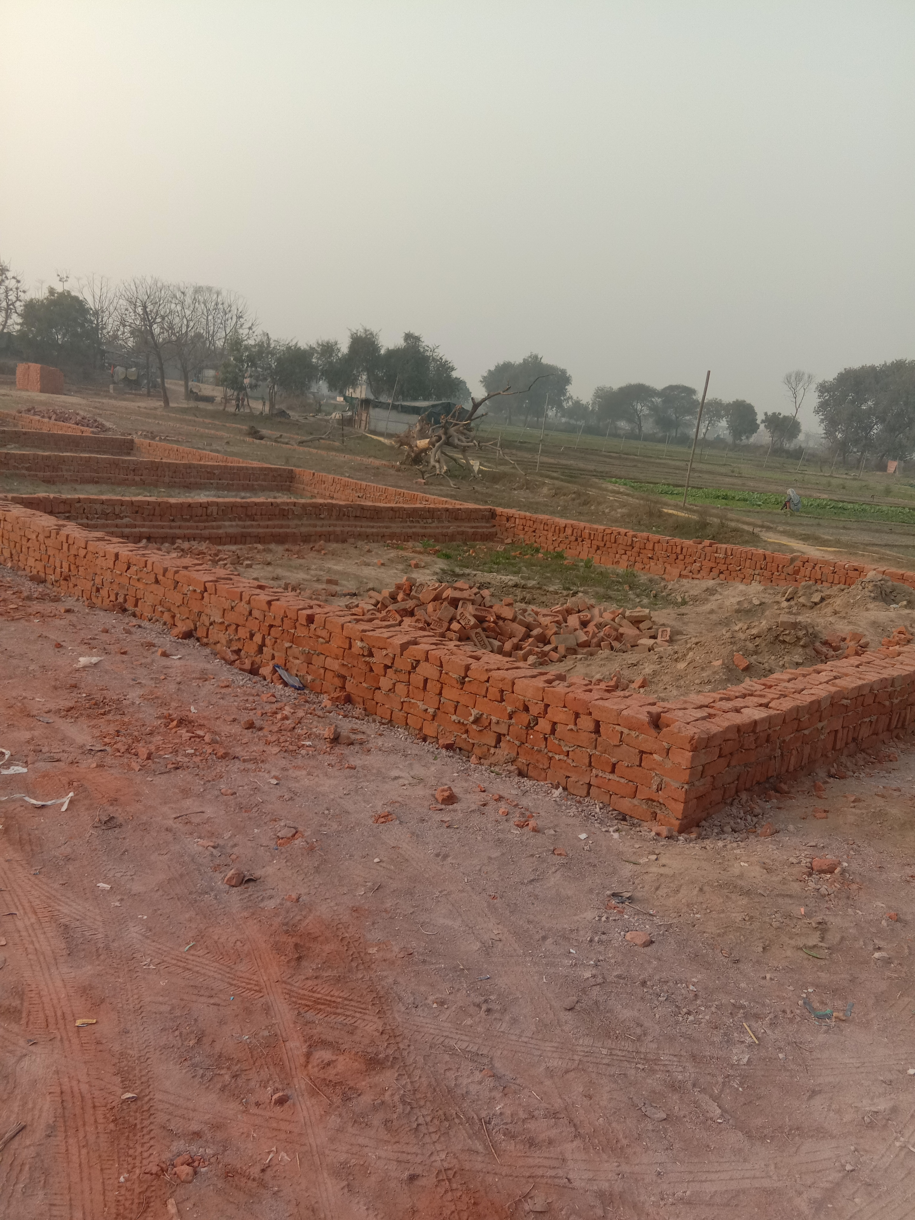 Plot For Resale in Satyam Paradise Sector 121 Sector 121 Noida  6387064