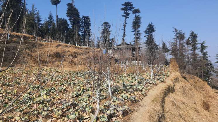 1 Acre Plot in Kufri Shimla