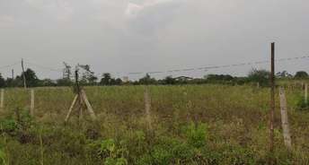  Plot For Resale in Mandideep Bhopal 6385035