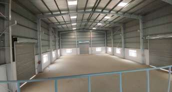 Commercial Warehouse 15500 Sq.Ft. For Rent In Sector 155 Noida 6388029