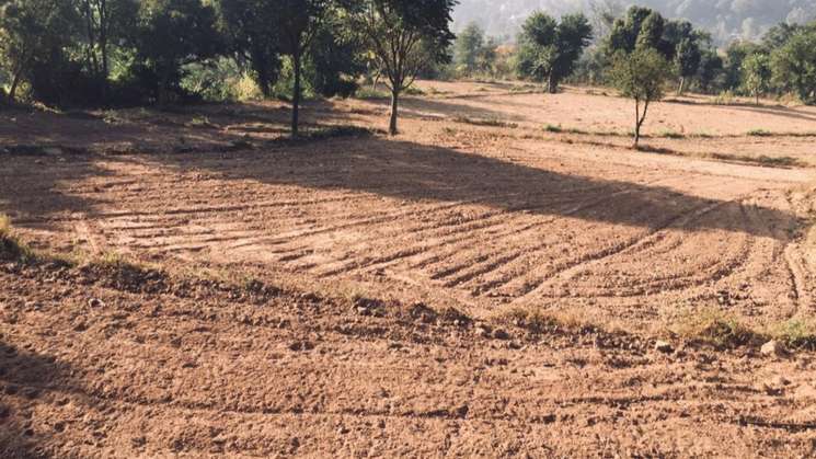 14 Acre Plot in Ramshehar Solan