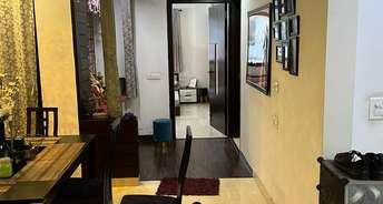 3 BHK Builder Floor For Rent in Moti Nagar Delhi 6388359