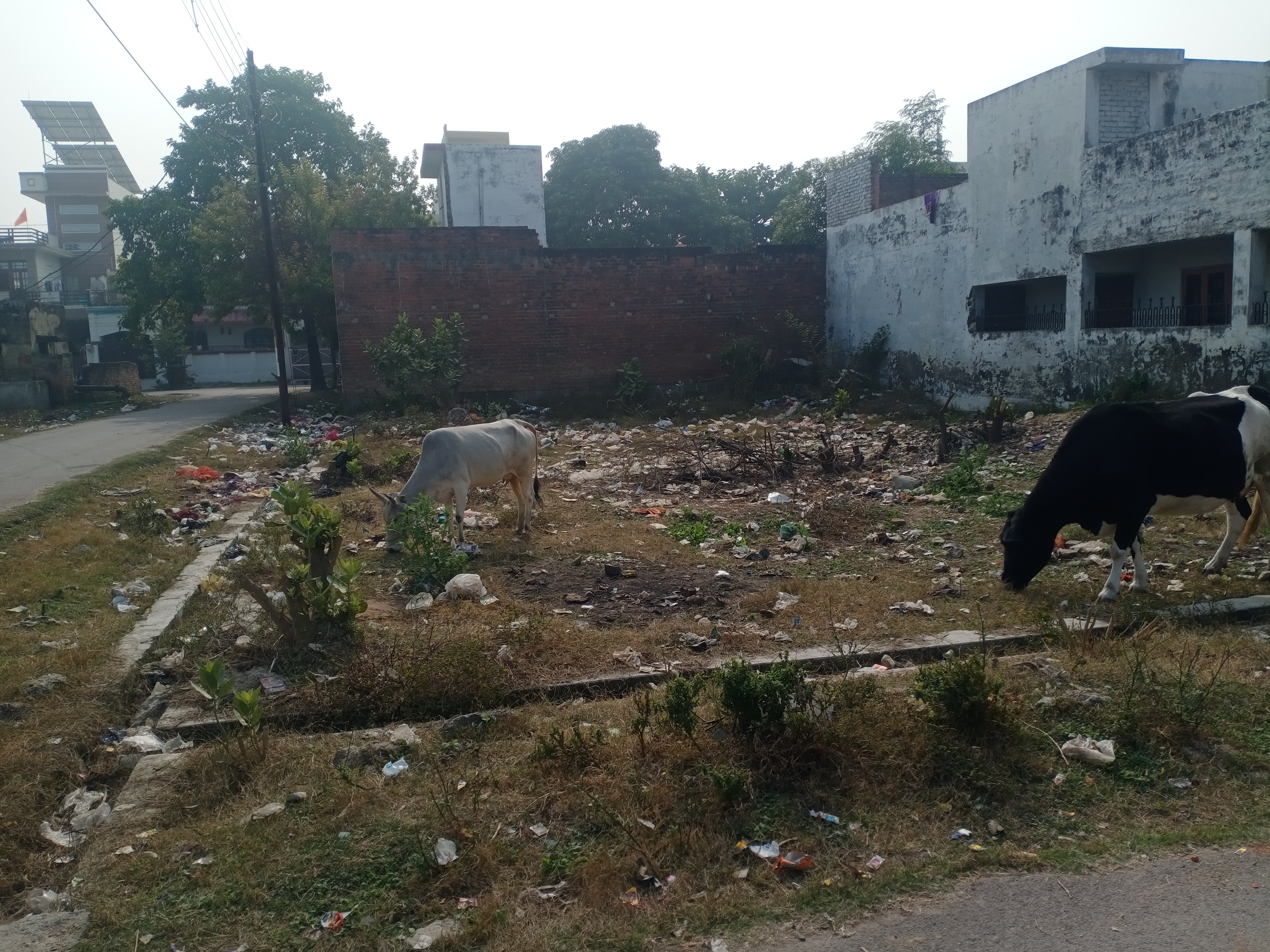 Resale 2566 Sq.Ft. Plot in Ashiyana Lucknow 6388577