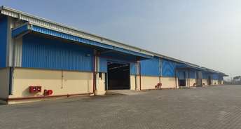 Commercial Warehouse 2100 Sq.Mt. For Rent In Barhi Sonipat 6388861