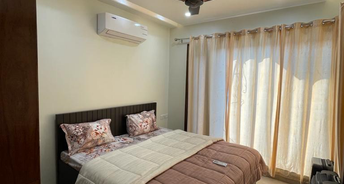 3 BHK Apartment For Rent in Sector 37 Chandigarh 6389083
