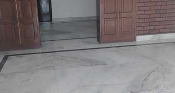 3 BHK Builder Floor For Rent in Sector 46 Gurgaon 6389149