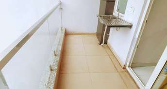 1 RK Builder Floor For Rent in Sector 52 Gurgaon 6389198