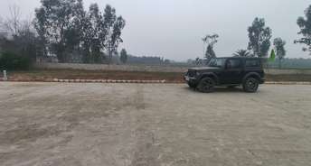 Plot For Resale in Sector 17 Panipat 6389515