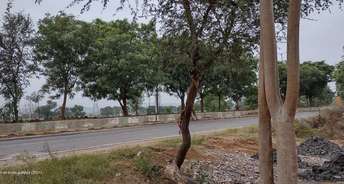  Plot For Resale in Shahbaad Hyderabad 6390133