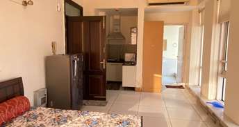 1 BHK Apartment For Rent in Jaypee Moon Court Jaypee Greens Greater Noida 6390157