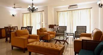 4 BHK Apartment For Rent in Adarsh Palm Retreat Marathahalli Orr Bangalore 6390183