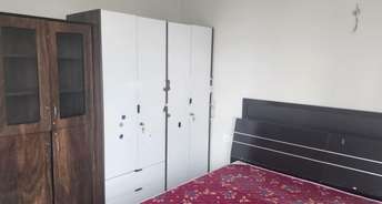 2.5 BHK Apartment For Rent in Kasturi Eon Homes Hinjewadi Pune 6390479
